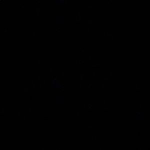 Meet your Posher, Daniella